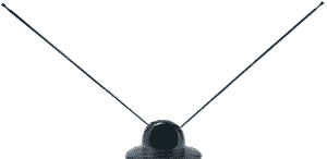 rabbit ears