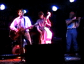 PALOMINO: 6-8-93 - #2