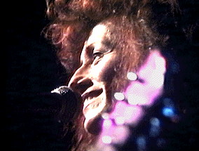 Palomino 10-19-93